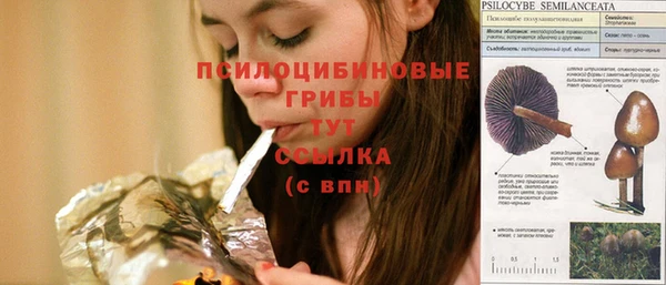 apvp Краснослободск