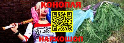 шишки Канаш