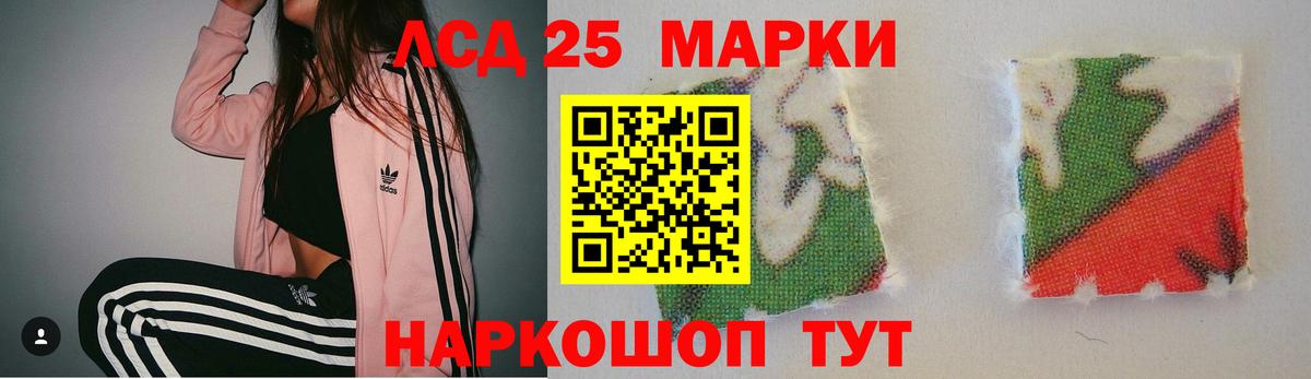 ЛСД экстази кислота  LSD-25 экстази кислота  Курчатов  Вход с VPN 