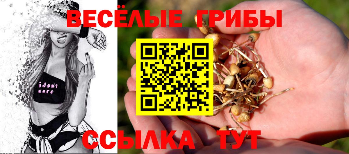 Курчатов  Галлюциногенные грибы Magic Shrooms  Вход с VPN  Галлюциногенные грибы GOLDEN TEACHER 